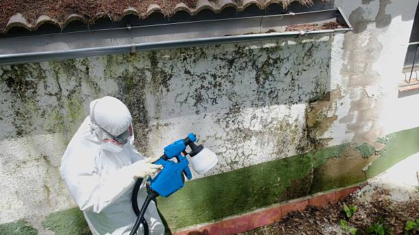 Top rated local Mold Remediation specialists in Poquoson, VA